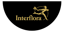 Code Promo Interflora